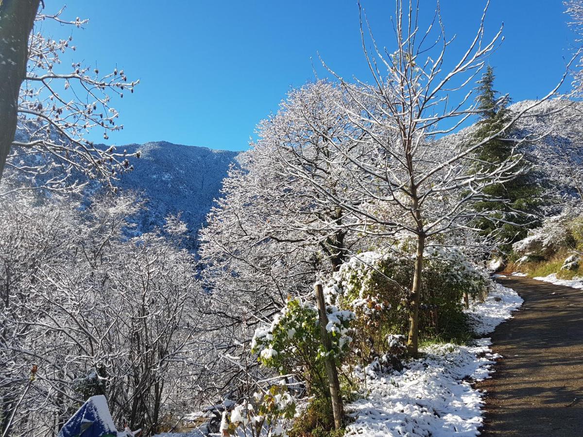 Camping Le P'Tit Bonheur Escaro Exteriér fotografie